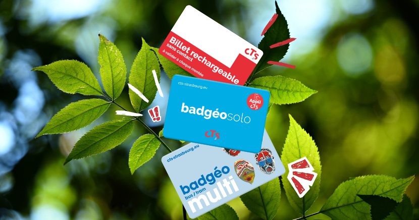 bloc-carte-rechargeable