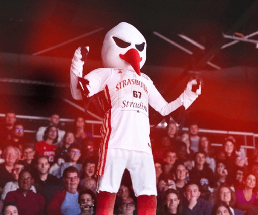 jeu-concours-sig-mascotte