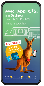 RECTO FLYER BADGEO SUR MOBILE_RVB